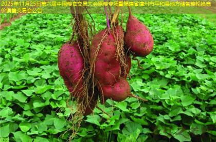 2025年11月25日第六届中国粮食交易大会原粮专场暨福建省漳州市平和县地方储备粮轮换竞价销售交易会公告