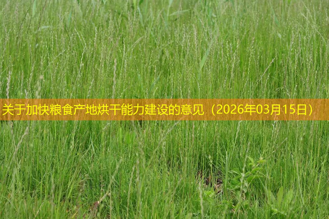关于加快粮食产地烘干能力建设的意见（2026年03月15日）