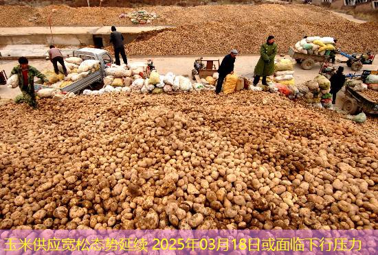 玉米供应宽松态势延续 2025年03月18日或面临下行压力