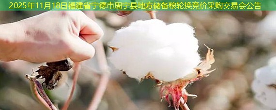 2025年11月18日福建省宁德市周宁县地方储备粮轮换竞价采购交易会公告