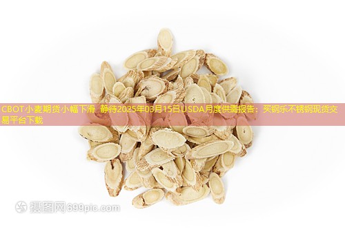 CBOT小麦期货小幅下滑 静待2025年03月15日USDA月度供需报告
