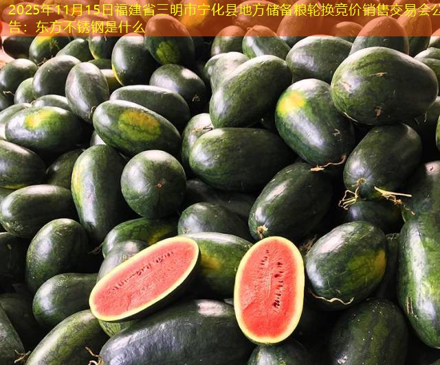 2025年11月15日福建省三明市宁化县地方储备粮轮换竞价销售交易会公告：东方不锈钢是什么
