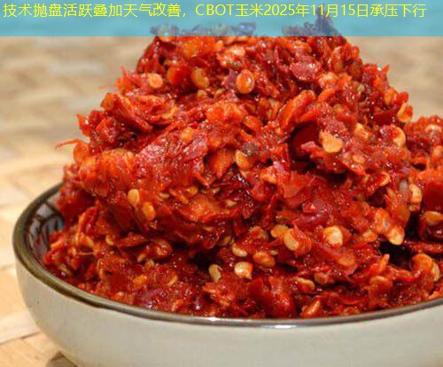 技术抛盘活跃叠加天气改善，CBOT玉米2025年11月15日承压下行