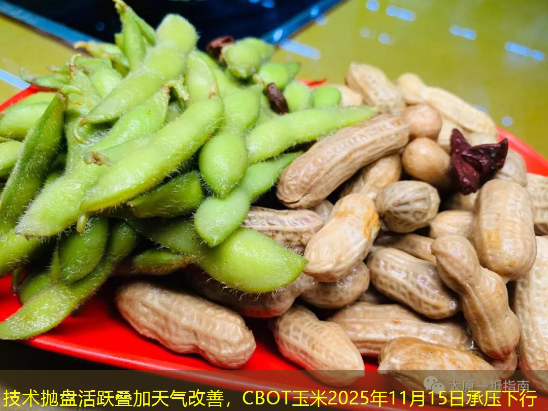 技术抛盘活跃叠加天气改善，CBOT玉米2025年11月15日承压下行