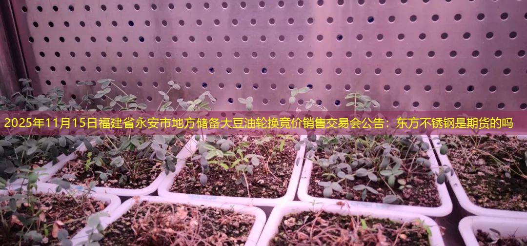 2025年11月15日福建省永安市地方储备大豆油轮换竞价销售交易会公告