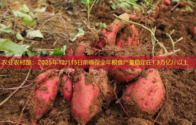 农业农村部：2025年12月15日前确保全年粮食产量稳定在1.3万亿斤以上