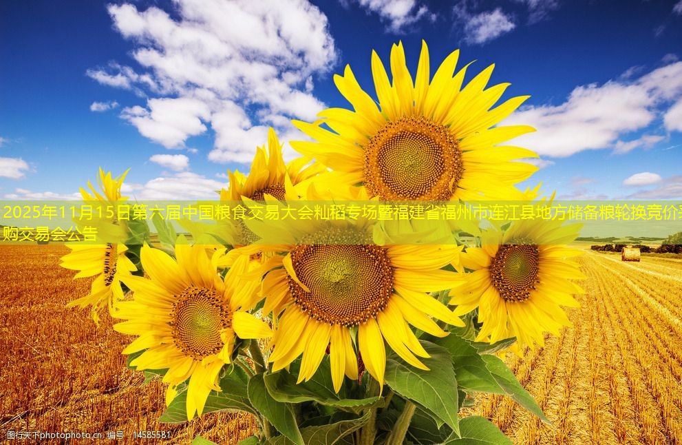 2025年11月15日第六届中国粮食交易大会籼稻专场暨福建省福州市连江县地方储备粮轮换竞价采购交易会公告