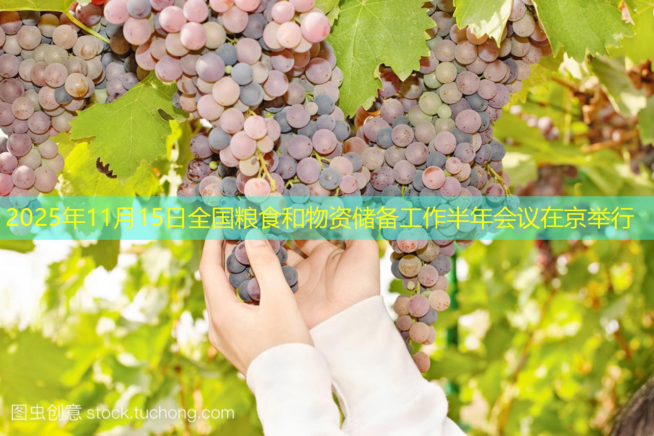 2025年11月15日全国粮食和物资储备工作半年会议在京举行