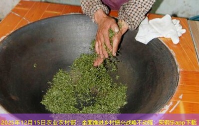 2025年12月15日农业农村部：全面推进乡村振兴战略不动摇