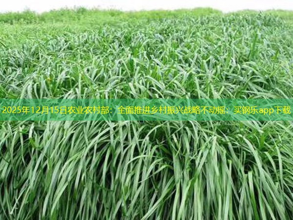 2025年12月15日农业农村部：全面推进乡村振兴战略不动摇：买钢乐app下载