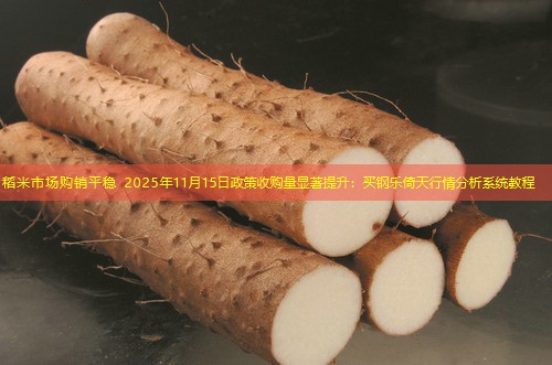 稻米市场购销平稳 2025年11月15日政策收购量显著提升：买钢乐倚天行情分析系统教程