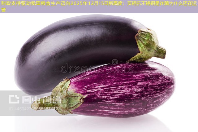 财政支持驱动我国粮食生产迈向2025年12月15日新高度