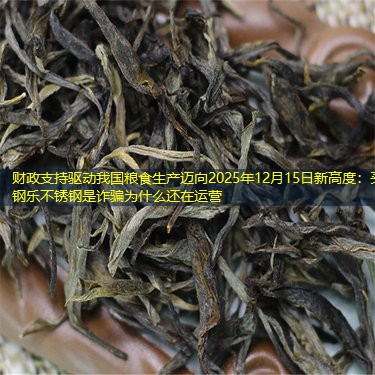 财政支持驱动我国粮食生产迈向2025年12月15日新高度