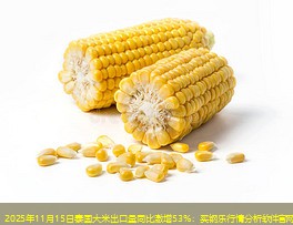 2025年11月15日泰国大米出口量同比激增53%：买钢乐行情分析软件官网