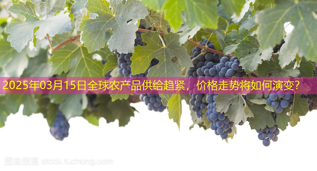 2025年03月15日全球农产品供给趋紧，价格走势将如何演变？
