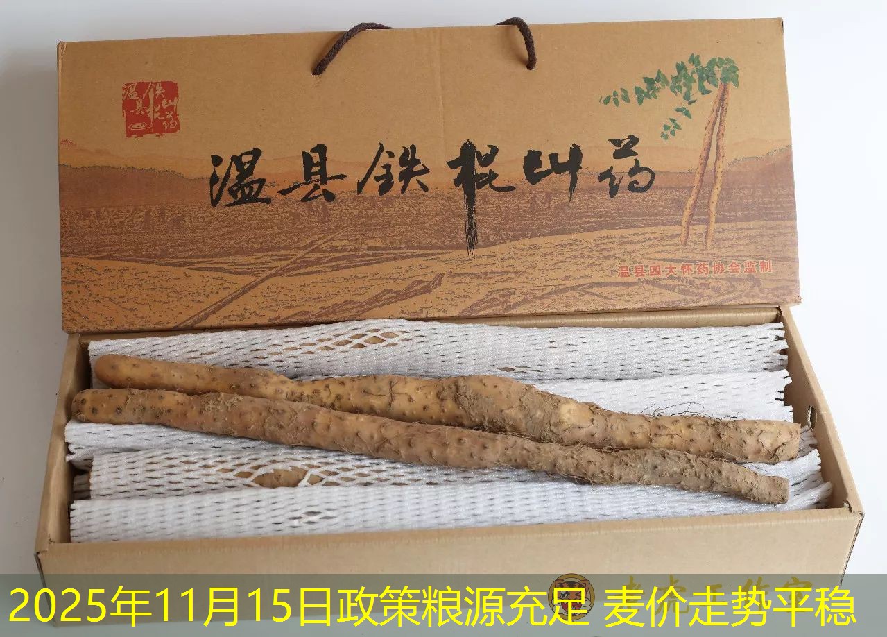 2025年11月15日政策粮源充足 麦价走势平稳