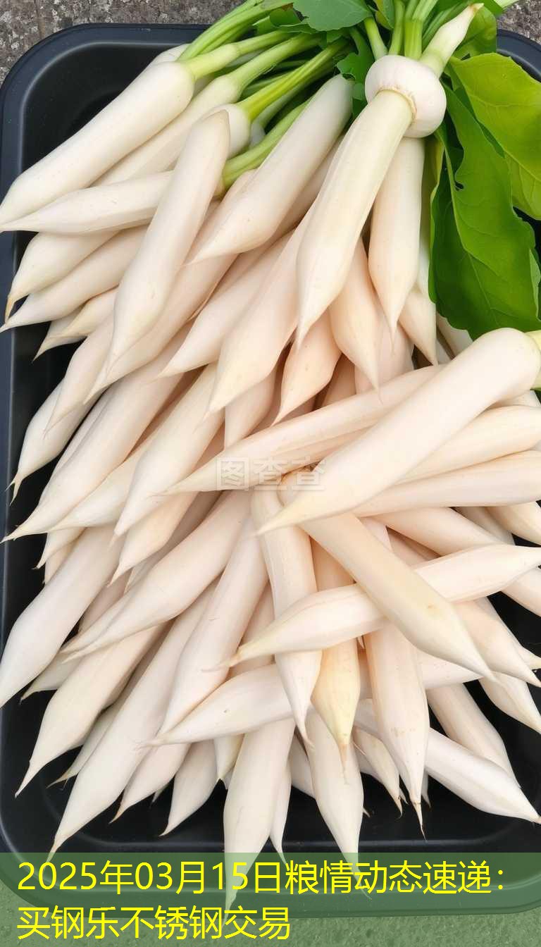 2025年03月15日粮情动态速递：买钢乐不锈钢交易