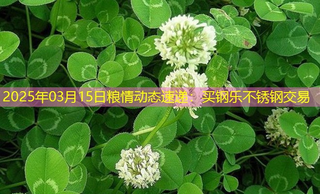 2025年03月15日粮情动态速递