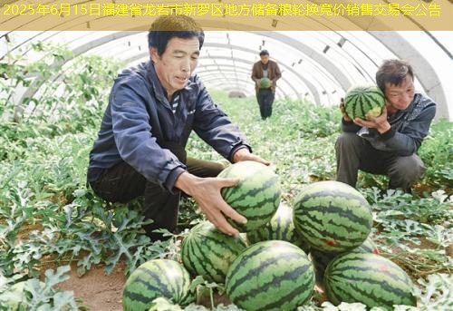 2025年6月15日福建省龙岩市新罗区地方储备粮轮换竞价销售交易会公告