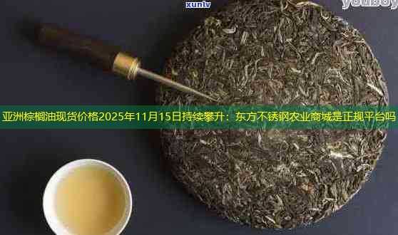 亚洲棕榈油现货价格2025年11月15日持续攀升