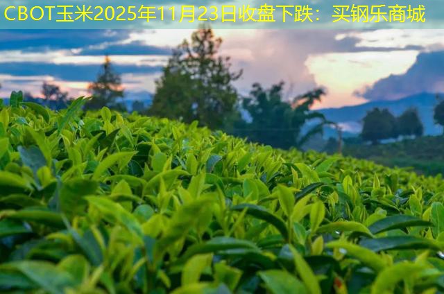 CBOT玉米2025年11月23日收盘下跌：买钢乐商城