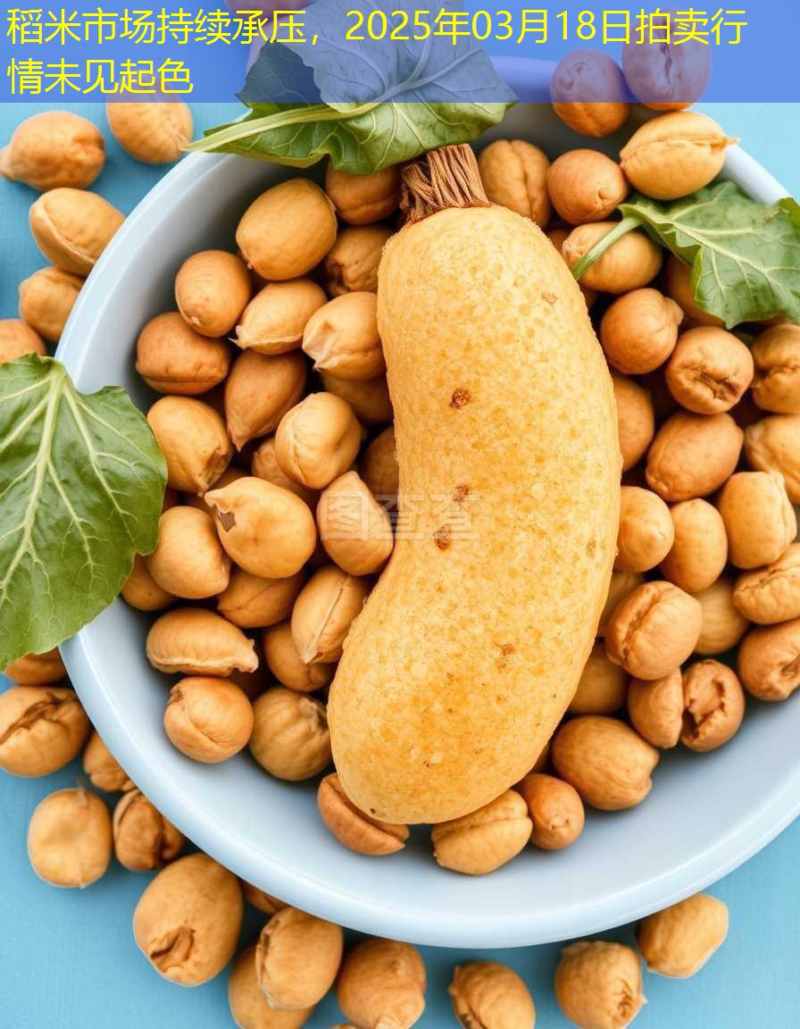 稻米市场持续承压，2025年03月18日拍卖行情未见起色