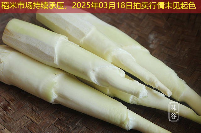 稻米市场持续承压，2025年03月18日拍卖行情未见起色