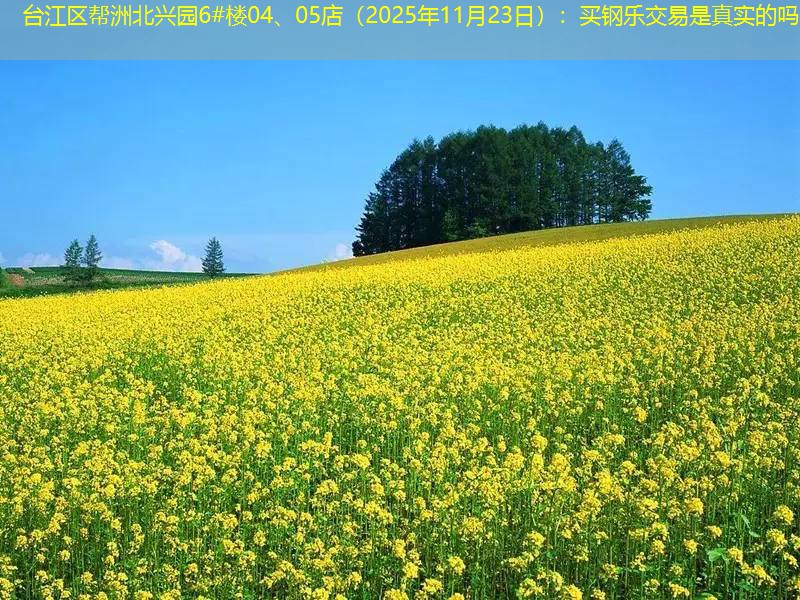 台江区帮洲北兴园6#楼04、05店（2025年11月23日）：买钢乐交易是真实的吗