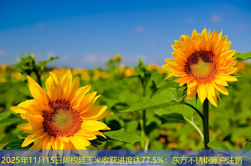2025年11月15日阿根廷玉米收获进度达77.5%：东方不锈钢账户注销