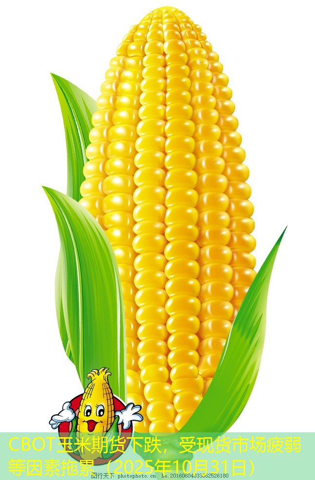 CBOT玉米期货下跌，受现货市场疲弱等因素拖累（2025年10月31日）