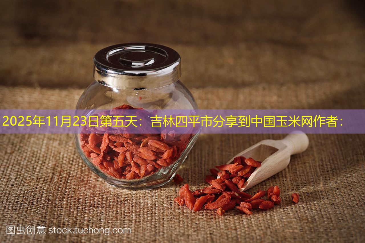 2025年11月23日第五天：吉林四平市分享到中国玉米网作者：