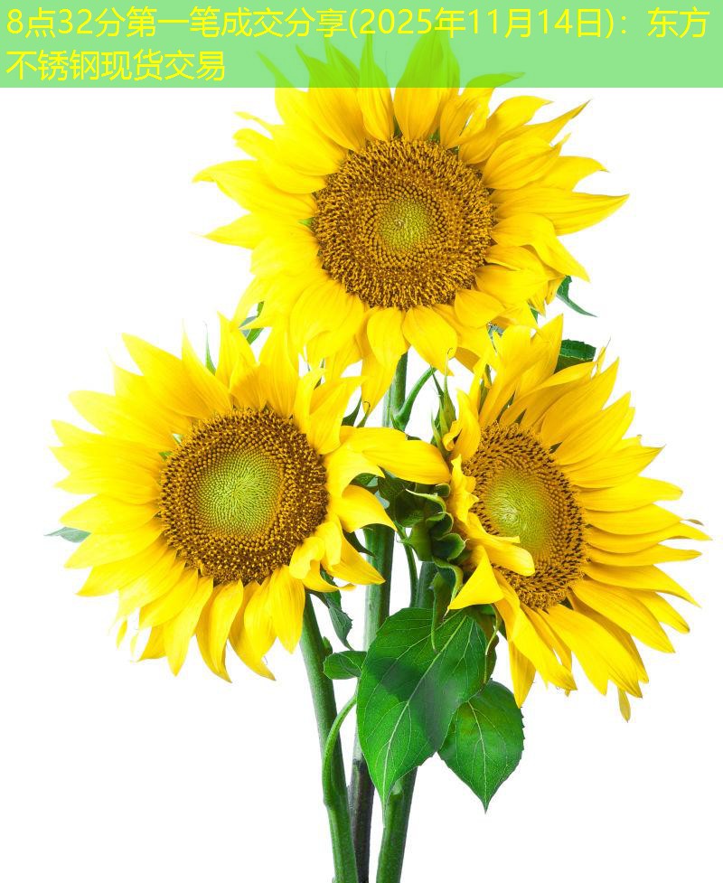 8点32分第一笔成交分享(2025年11月14日)：东方不锈钢现货交易