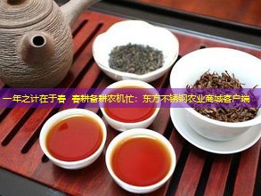 一年之计在于春 春耕备耕农机忙：东方不锈钢农业商城客户端