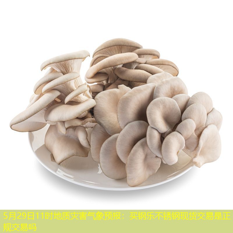 5月29日11时地质灾害气象预报