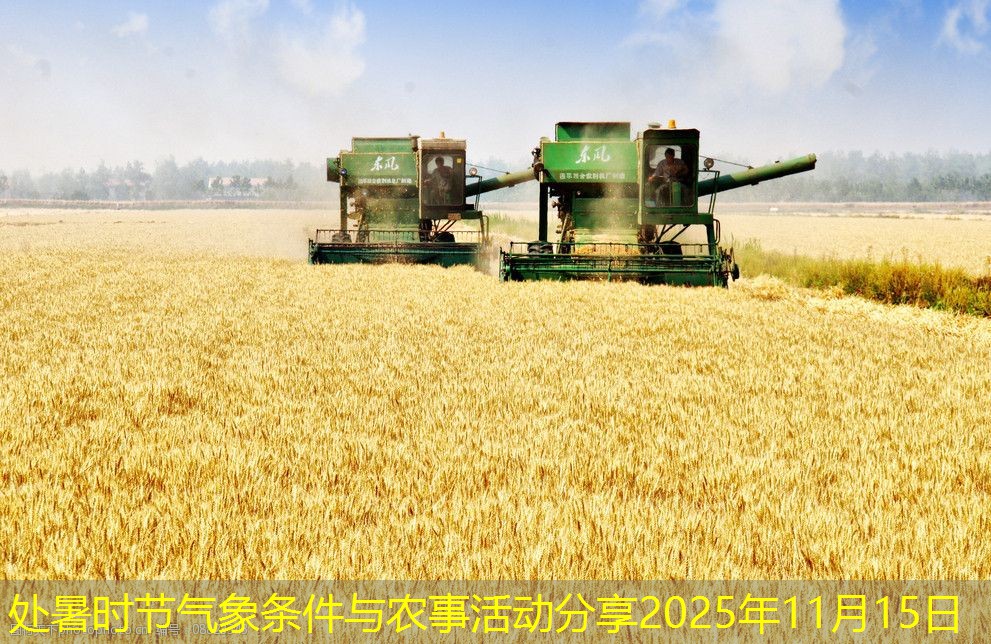 处暑时节气象条件与农事活动分享2025年11月15日