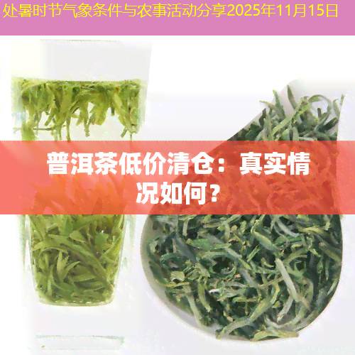 处暑时节气象条件与农事活动分享2025年11月15日