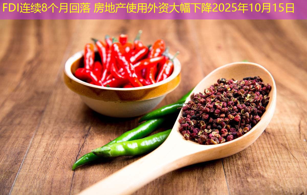 FDI连续8个月回落 房地产使用外资大幅下降2025年10月15日