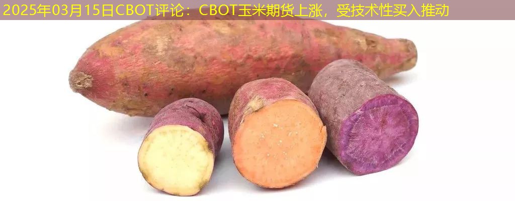 2025年03月15日CBOT评论：CBOT玉米期货上涨，受技术性买入推动