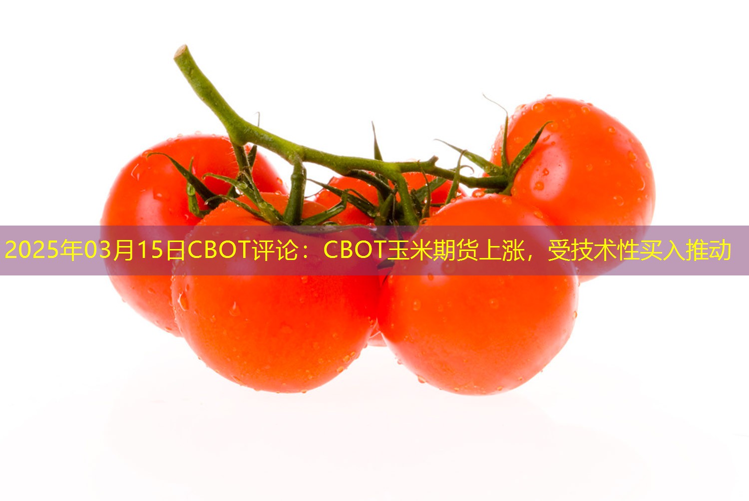 2025年03月15日CBOT评论：CBOT玉米期货上涨，受技术性买入推动