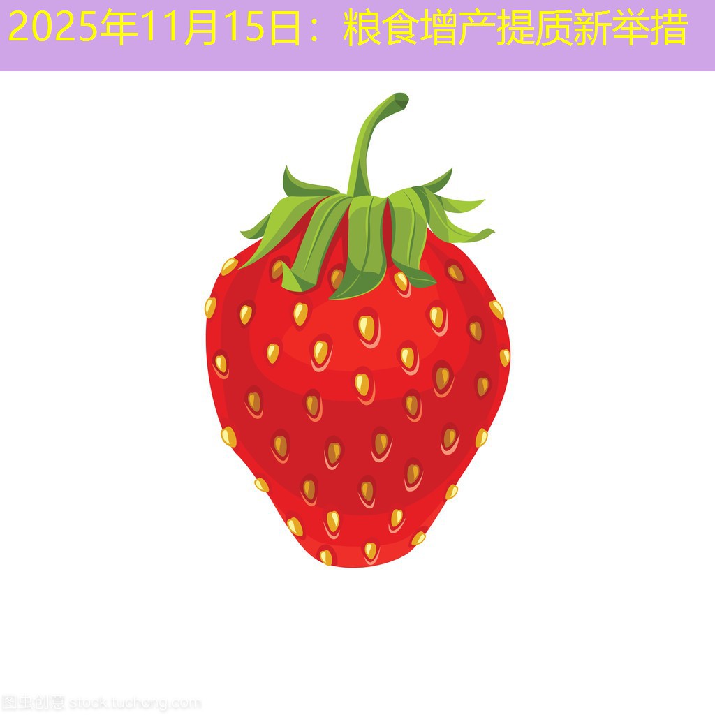 2025年11月15日：粮食增产提质新举措