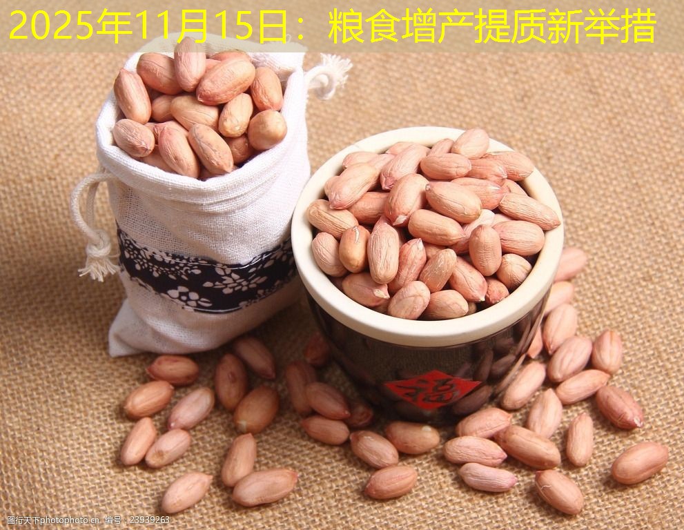 2025年11月15日：粮食增产提质新举措