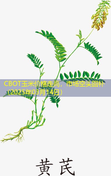 CBOT玉米价格走高，市场空头回补（2025年03月14日）