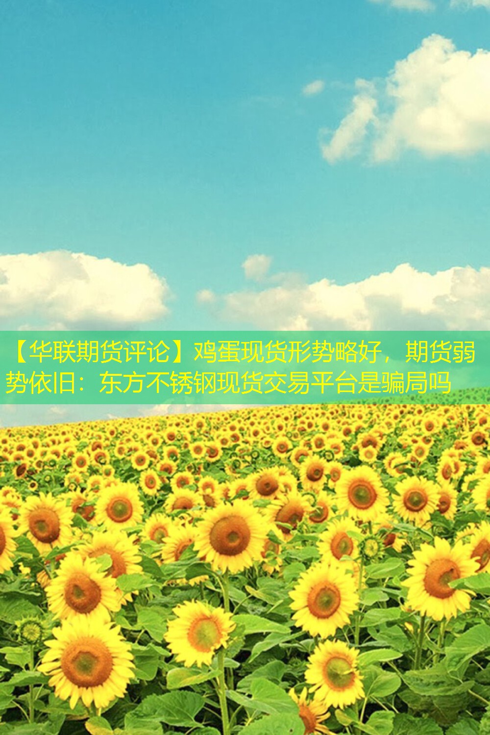 【华联期货评论】鸡蛋现货形势略好，期货弱势依旧：东方不锈钢现货交易平台是骗局吗