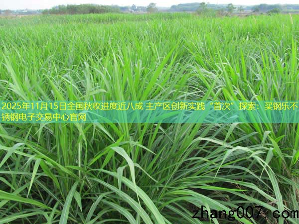 2025年11月15日全国秋收进度近八成 主产区创新实践“首次”探索