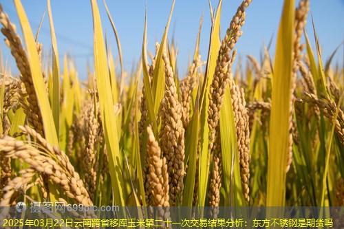 2025年03月22日云南跨省移库玉米第二十一次交易结果分析：东方不锈钢是期货吗