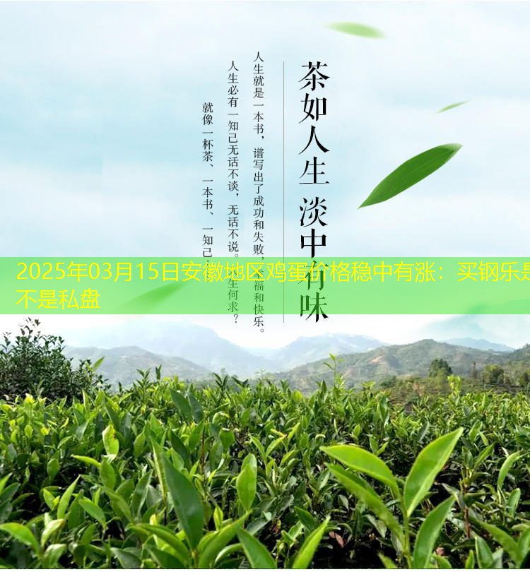 2025年03月15日安徽地区鸡蛋价格稳中有涨：买钢乐是不是私盘