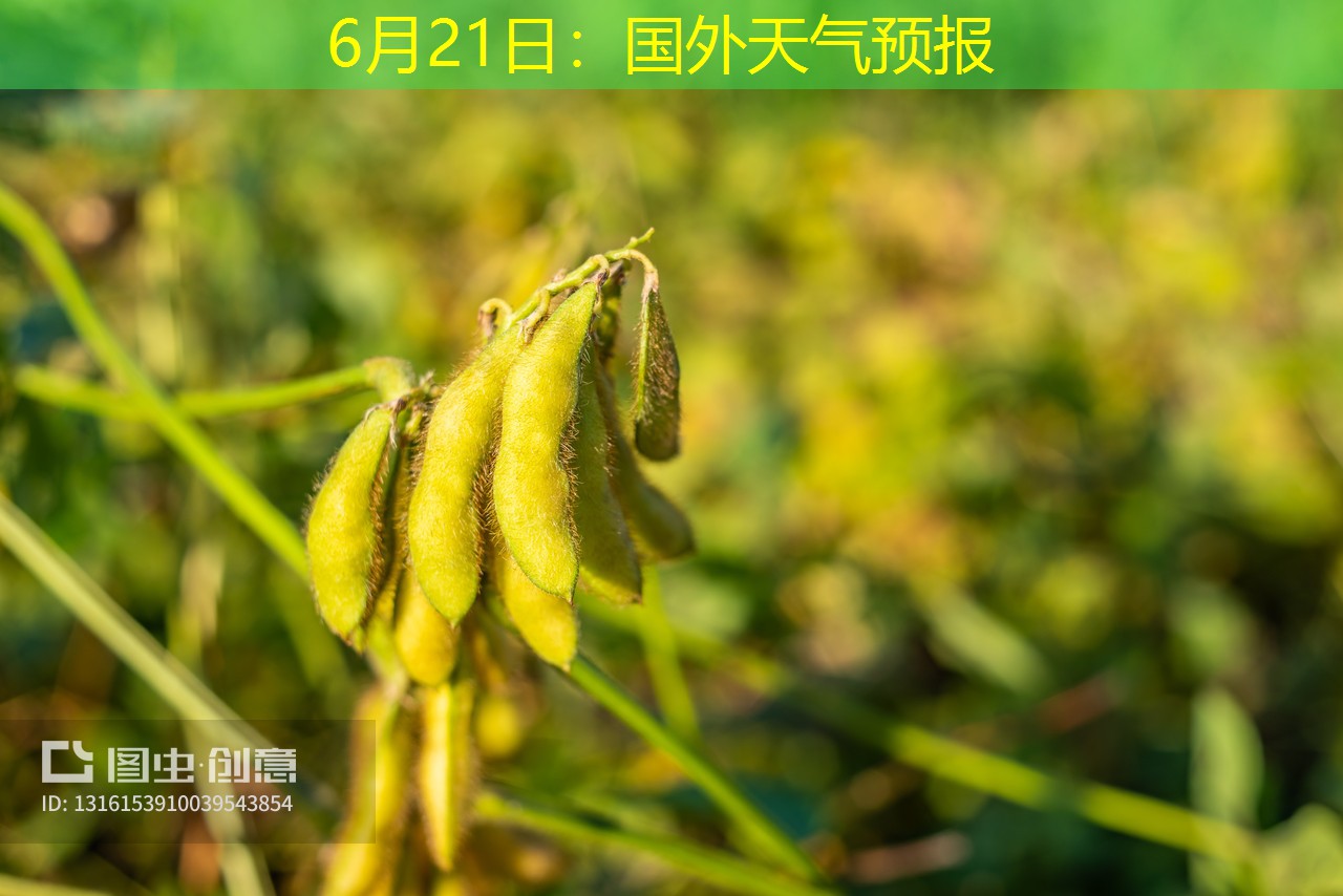 6月21日：国外天气预报