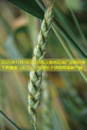 2025年11月18日江苏连云港地区油厂豆粕价格下跌黄彪（实习）：买钢乐不锈钢商城客户端