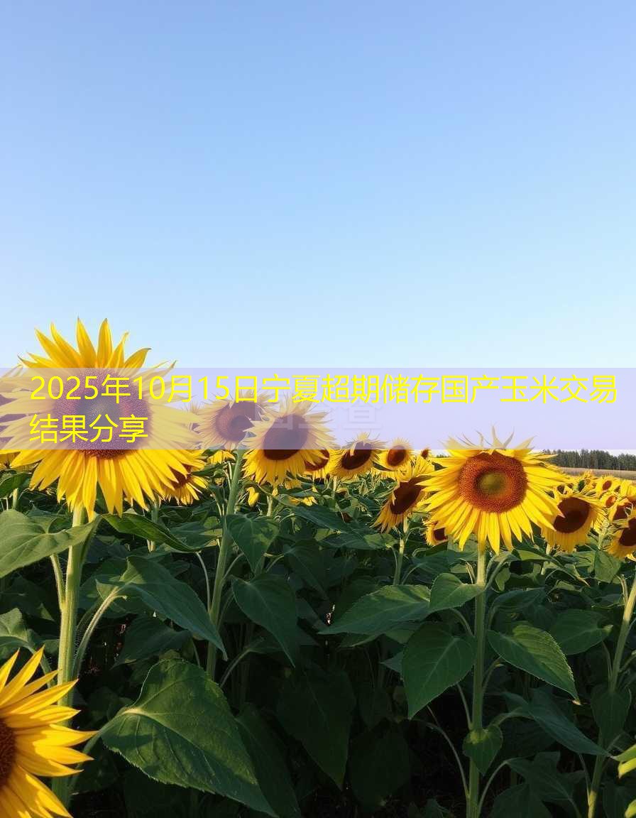 2025年10月15日宁夏超期储存国产玉米交易结果分享