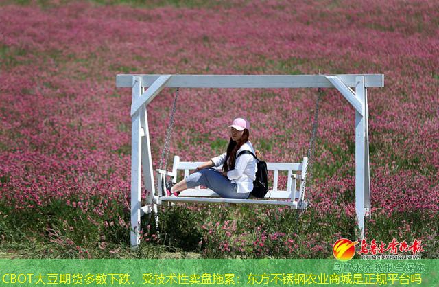 CBOT大豆期货多数下跌，受技术性卖盘拖累：东方不锈钢农业商城是正规平台吗